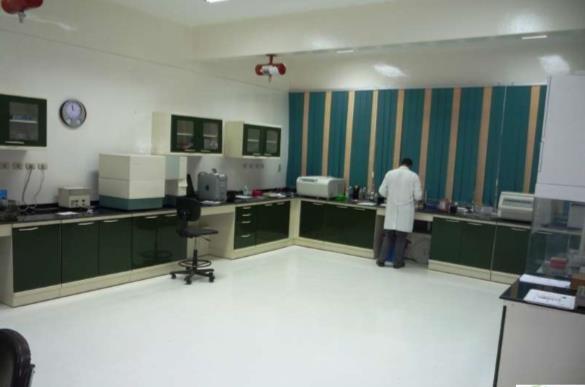 Asyut Project